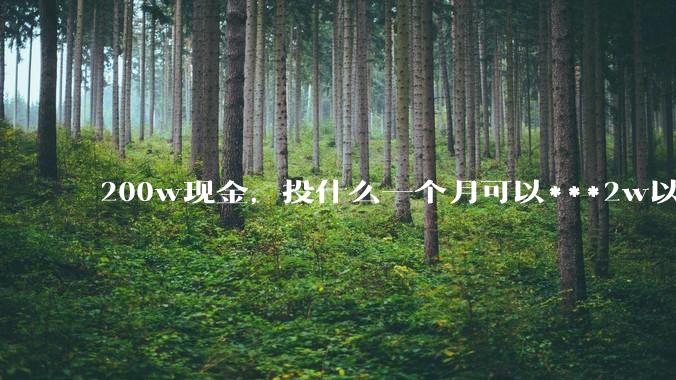 200w现金，投什么一个月可以***2w以上？