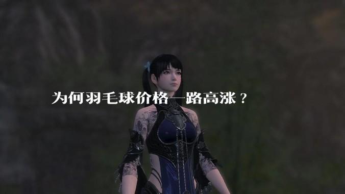 为何羽毛球价格一路高涨?