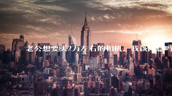 老公想要买2万左右的相机，我该同意吗？