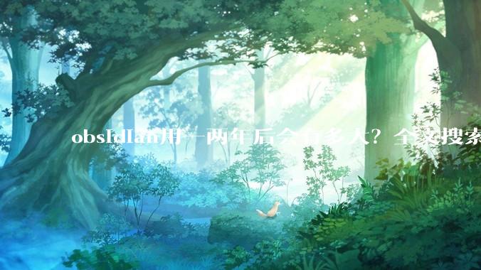 obsidian用一两年后会有多大？全文搜索还快吗？