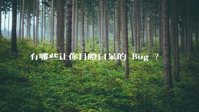 有哪些让你目瞪口呆的 Bug ？