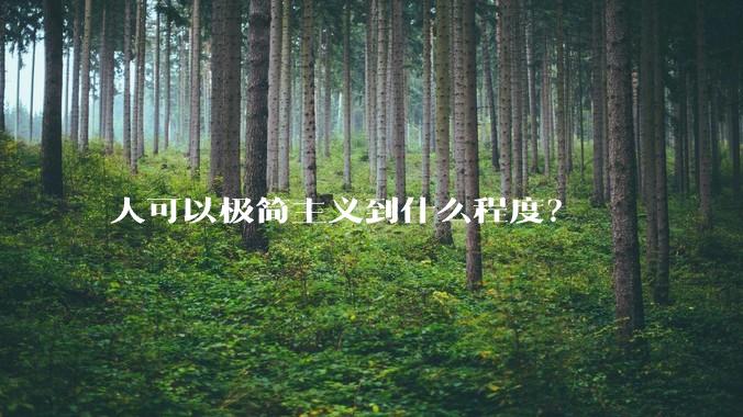 人可以极简主义到什么程度？