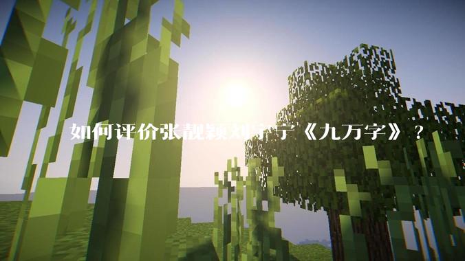 如何评价张靓颖刘宇宁《九万字》?