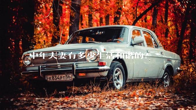 中年夫妻有多少生活和谐的？