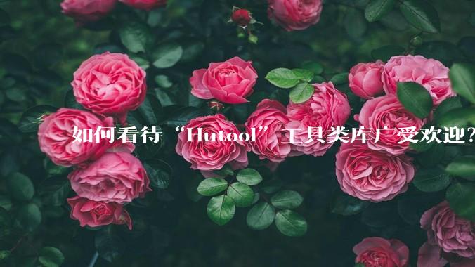 如何看待“Hutool”工具类库广受欢迎？