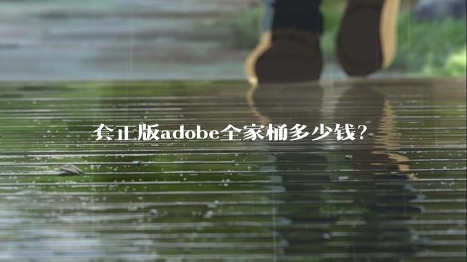 一套正版adobe全家桶多少钱？