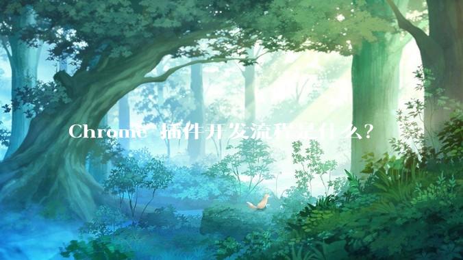 Chrome 插件开发流程是什么？