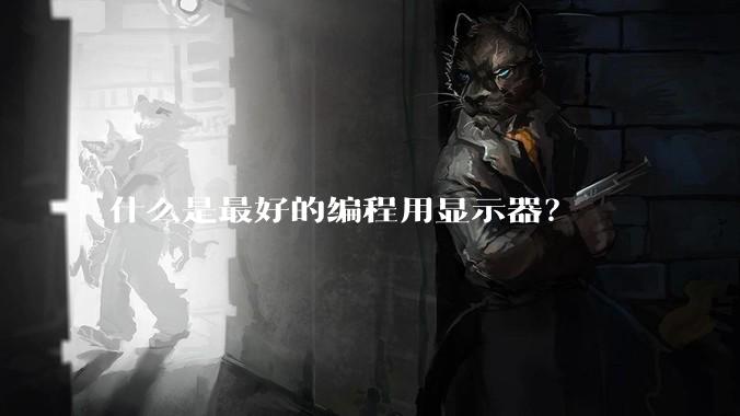 什么是最好的编程用显示器？