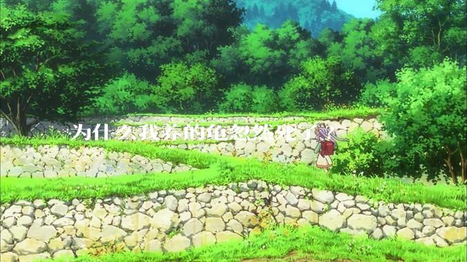 为什么我养的龟忽然死了?