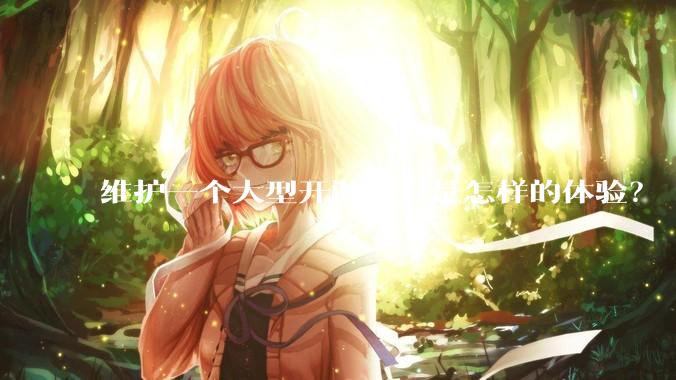 维护一个大型开源项目是怎样的体验？