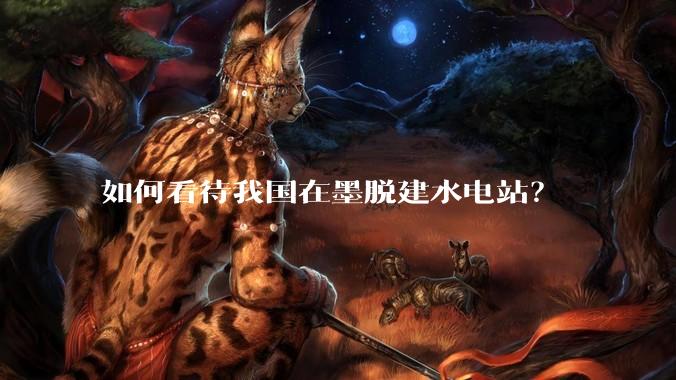 如何看待我国在墨脱建水电站？