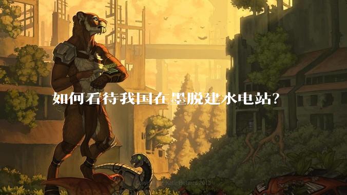 如何看待我国在墨脱建水电站？