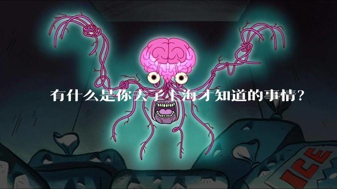 有什么是你去了上海才知道的事情？