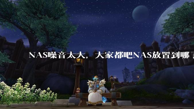 NAS噪音太大，大家都吧NAS放置到哪了？