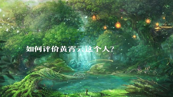 如何评价黄霄云这个人？
