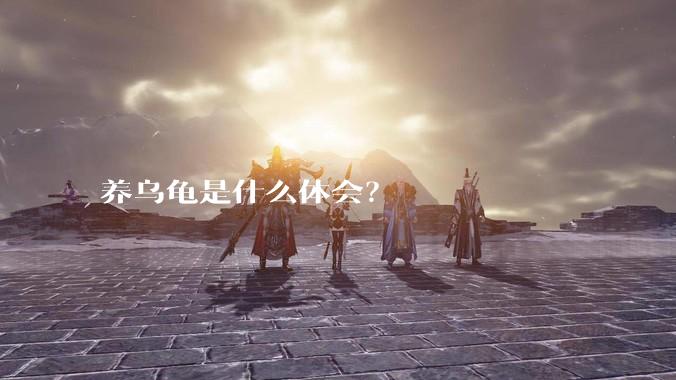 养乌龟是什么体会？